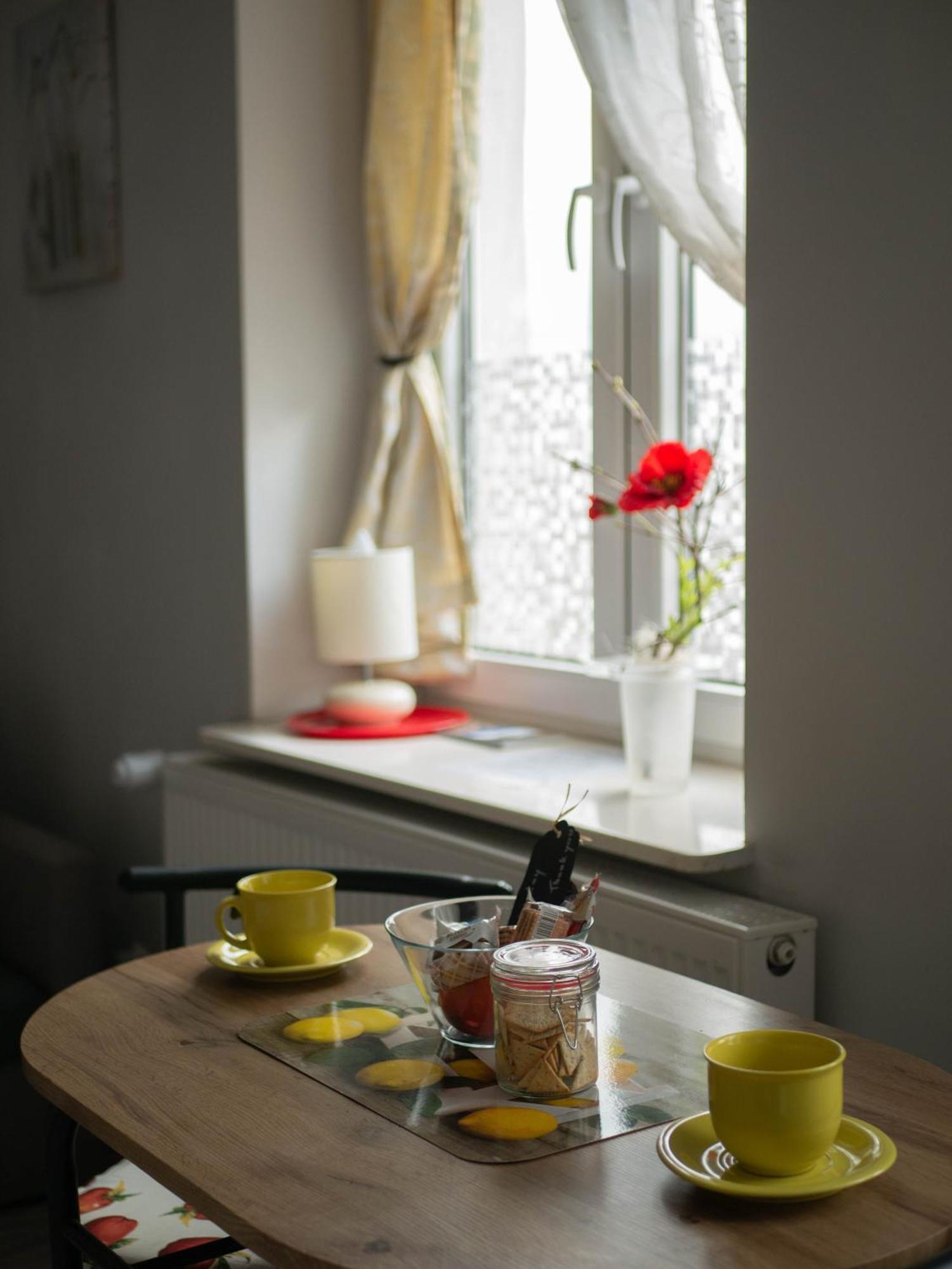 Apartament Przy Synagodze Przemyśl Eksteriør billede